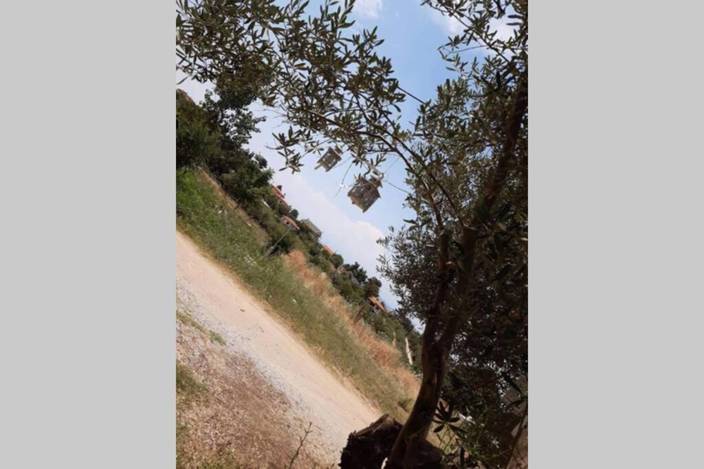 Palioura Georgia'S Apartment מראה חיצוני תמונה